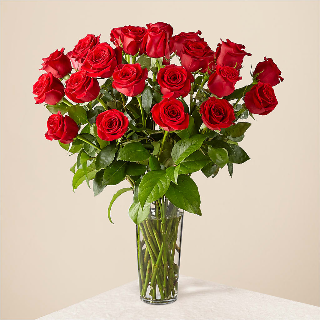 Long Stem Red Rose Bouquet – Wilderness Treasures, Pickford MI