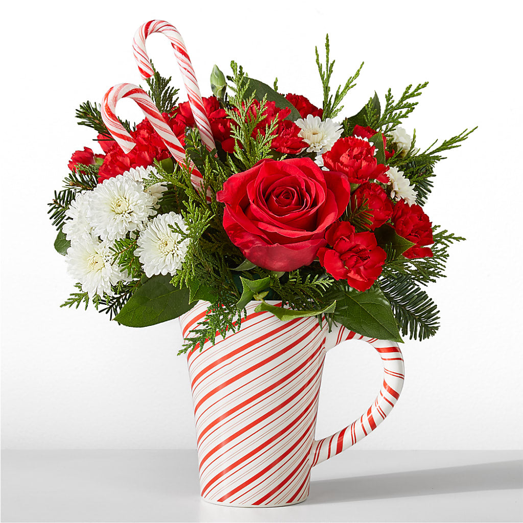 Peppermint Swirl Mug – Wilderness Treasures, Pickford MI