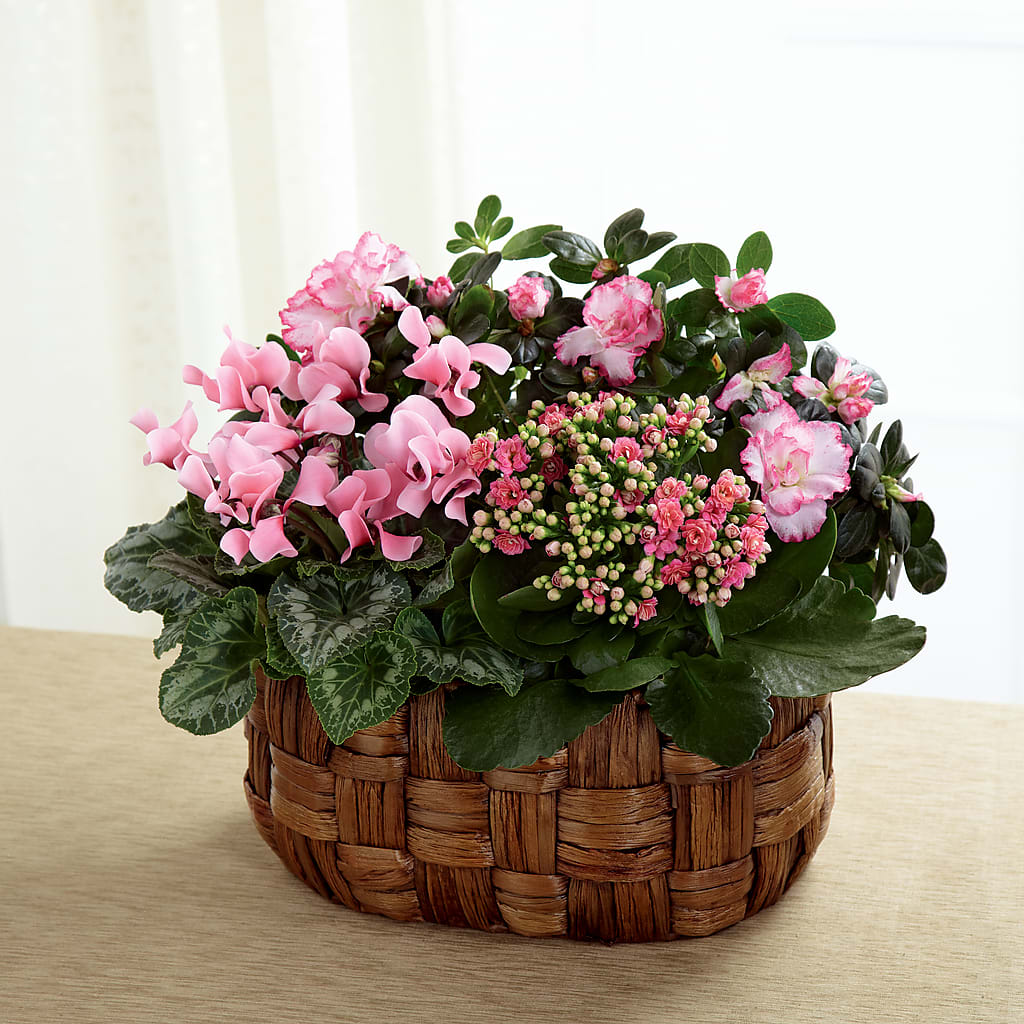 Pink Assortment – Wilderness Treasures, Pickford MI