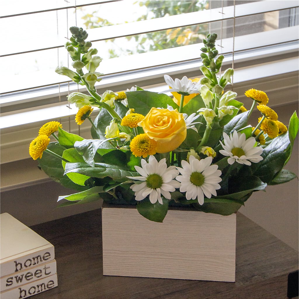 Sun Salutation Box Bouquet – Wilderness Treasures, Pickford MI