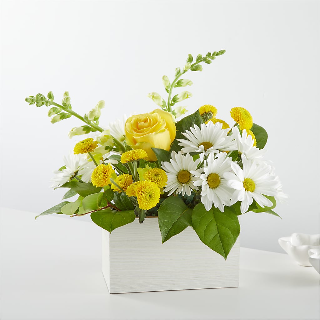Sun Salutation Box Bouquet – Wilderness Treasures, Pickford MI