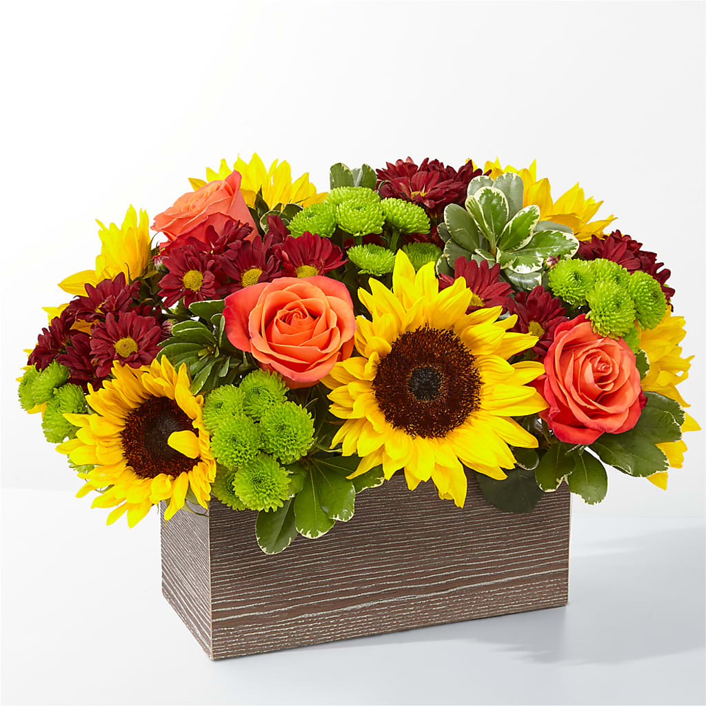 Happy Harvest Garden – Wilderness Treasures, Pickford MI