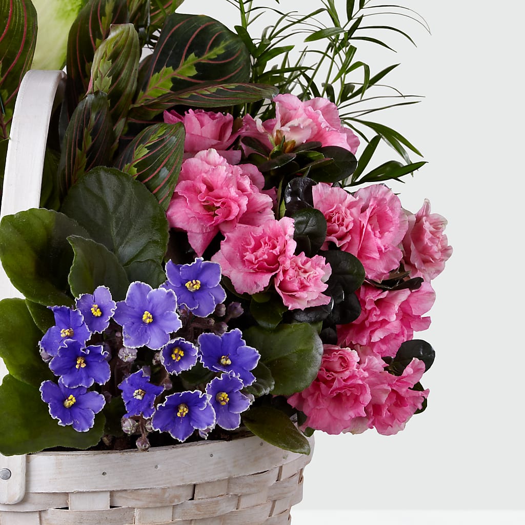 Peaceful Garden Planter – Wilderness Treasures, Pickford MI