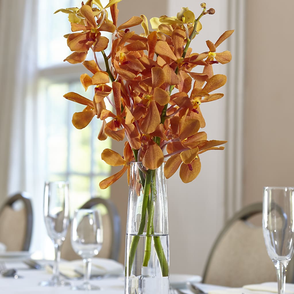 Orange Mokara Bud Vase – Wilderness Treasures, Pickford MI