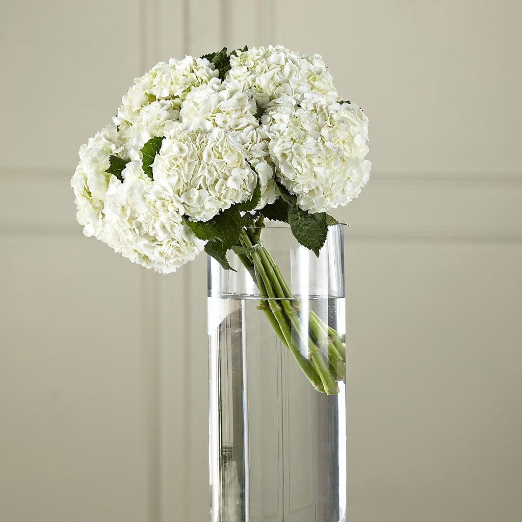 White Hydrangea Hand-Tied Bouquet – Wilderness Treasures, Pickford MI