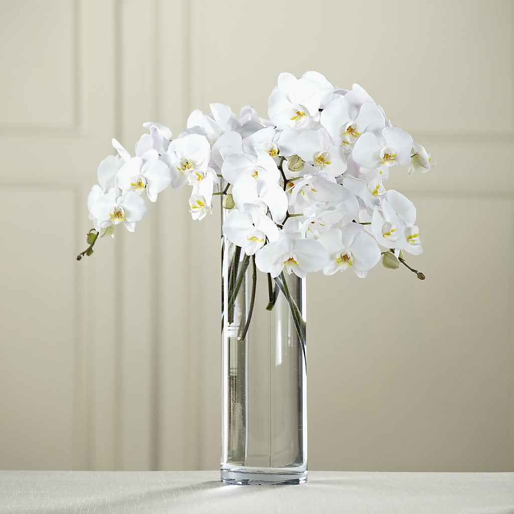 White Phalaenopsis Bouquet – Wilderness Treasures, Pickford MI