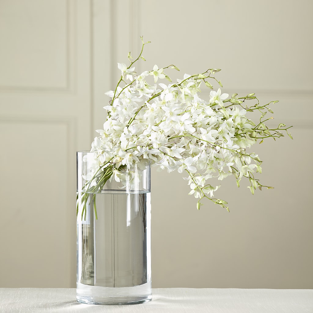 White Dendrobium Bouquet – Wilderness Treasures, Pickford MI