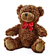 Adorable Plush Bear –  Wilderness Treasures, Pickford MI