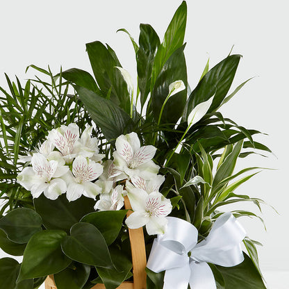 Peace & Serenity Dishgarden –  Wilderness Treasures, Pickford MI