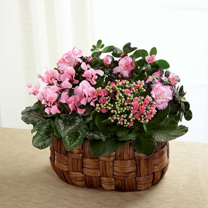 Pink Assortment –  Wilderness Treasures, Pickford MI