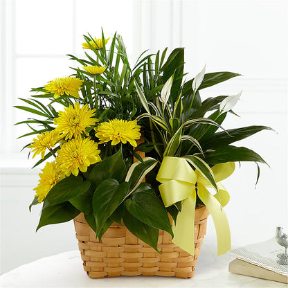 Loving Light Dishgarden –  Wilderness Treasures, Pickford MI