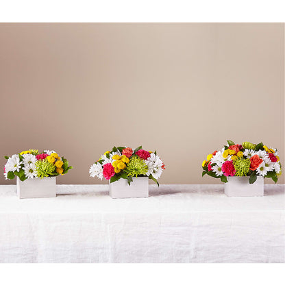 Sorbet Bouquet –  Wilderness Treasures, Pickford MI