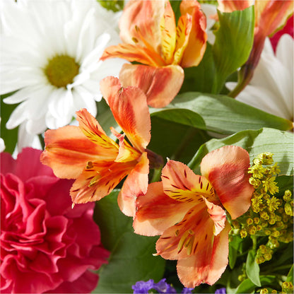 Oopsie Daisy Box Bouquet –  Wilderness Treasures, Pickford MI