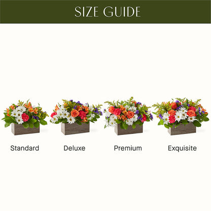 Oopsie Daisy Box Bouquet –  Wilderness Treasures, Pickford MI