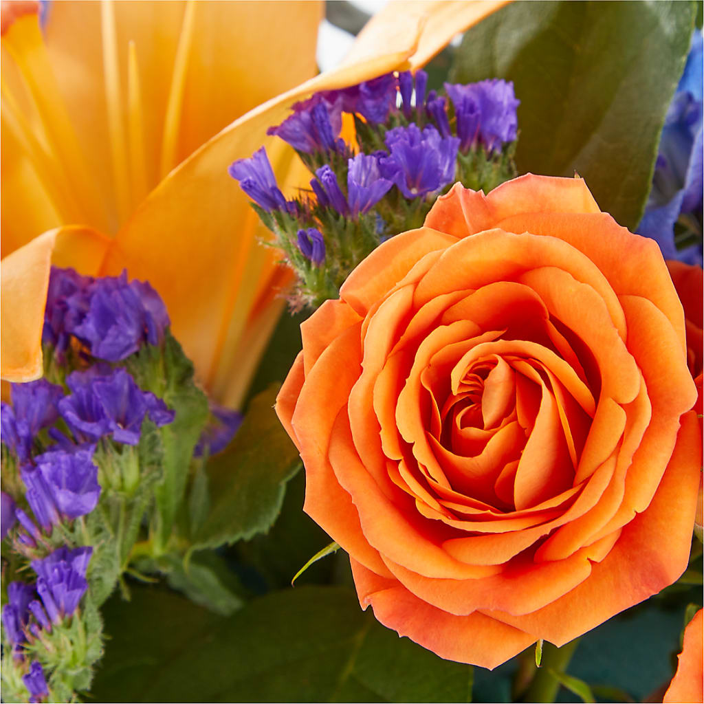 Radiant Citrus Box Bouquet –  Wilderness Treasures, Pickford MI