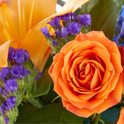 Radiant Citrus Box Bouquet –  Wilderness Treasures, Pickford MI