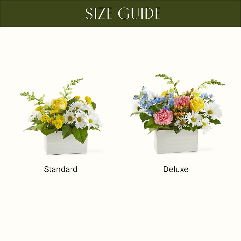 Sun Salutation Box Bouquet –  Wilderness Treasures, Pickford MI
