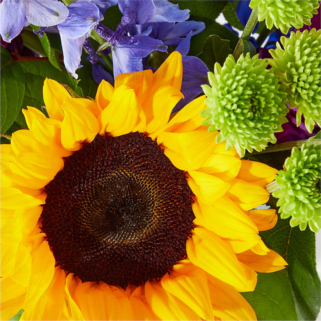 Catching Rays Bouquet –  Wilderness Treasures, Pickford MI