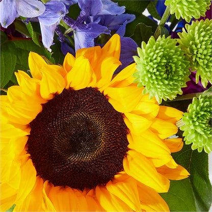 Catching Rays Bouquet –  Wilderness Treasures, Pickford MI