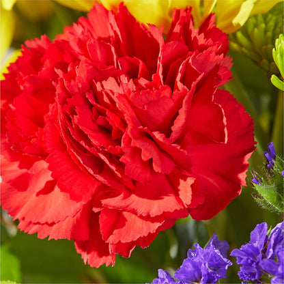Brighter Days Bouquet –  Wilderness Treasures, Pickford MI