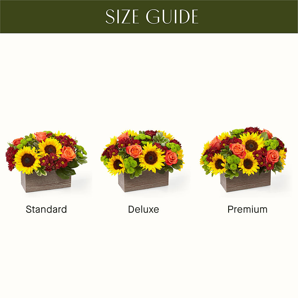 Happy Harvest Garden –  Wilderness Treasures, Pickford MI