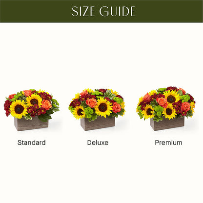 Happy Harvest Garden –  Wilderness Treasures, Pickford MI