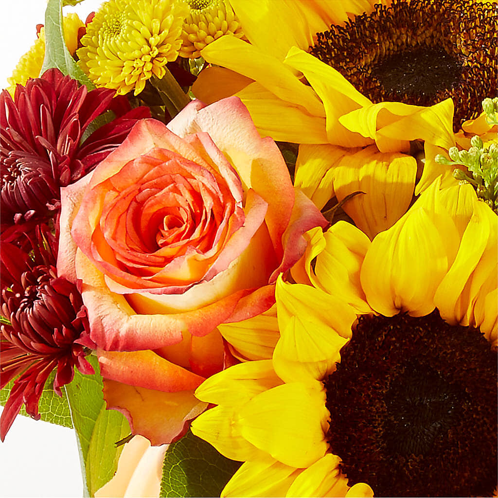 Golden Gourd Pumpkin Bouquet –  Wilderness Treasures, Pickford MI