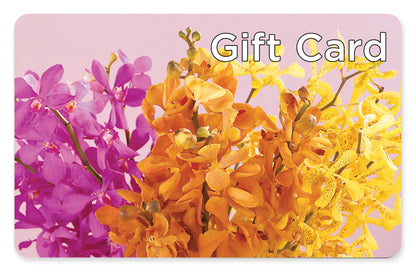 Gift Card –  Wilderness Treasures, Pickford MI