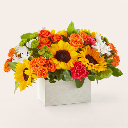 Sun-drenched Blooms Box Bouquet –  Wilderness Treasures, Pickford MI
