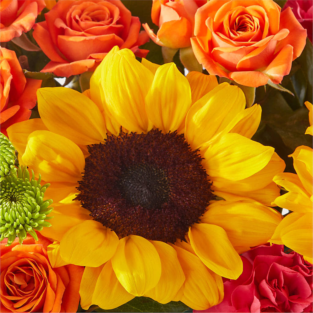 Sun-drenched Blooms Box Bouquet –  Wilderness Treasures, Pickford MI