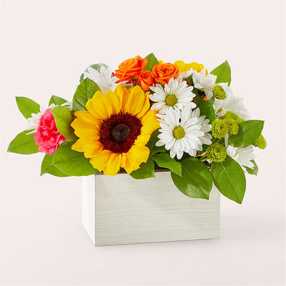 Sun-drenched Blooms Box Bouquet –  Wilderness Treasures, Pickford MI