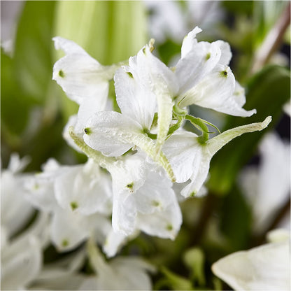 Classic Ivory – A Florist Original –  Wilderness Treasures, Pickford MI