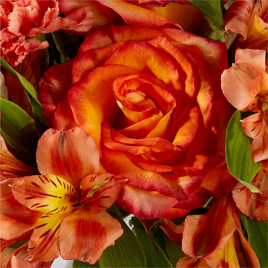 Apricot Glow Bouquet –  Wilderness Treasures, Pickford MI
