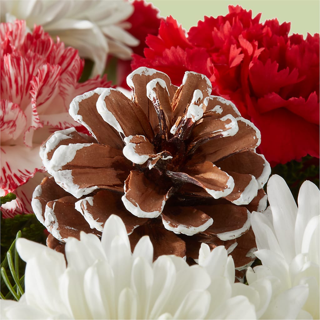 Candy Cane Lane Bouquet –  Wilderness Treasures, Pickford MI