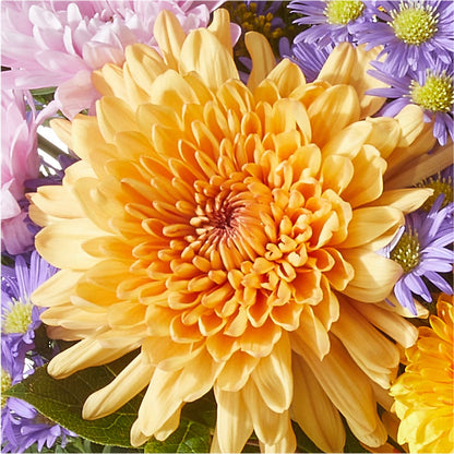 Countryside Bouquet –  Wilderness Treasures, Pickford MI