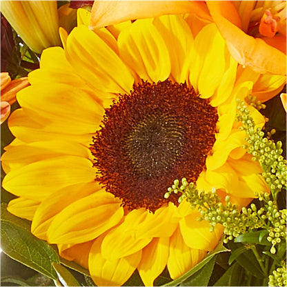 Seasons Change Bouquet –  Wilderness Treasures, Pickford MI