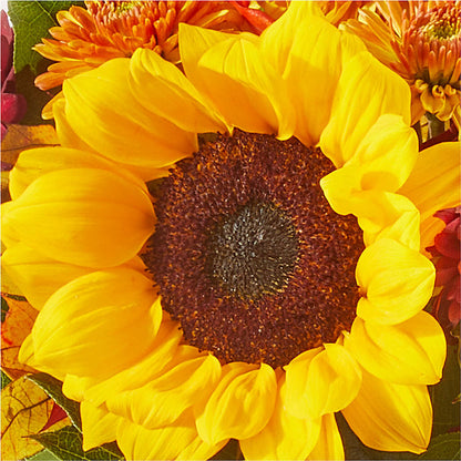 Sunny Side Bouquet –  Wilderness Treasures, Pickford MI