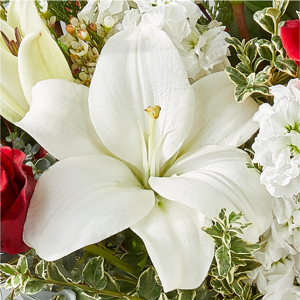 Twinkle Lights Bouquet –  Wilderness Treasures, Pickford MI