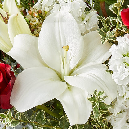 Twinkle Lights Bouquet –  Wilderness Treasures, Pickford MI