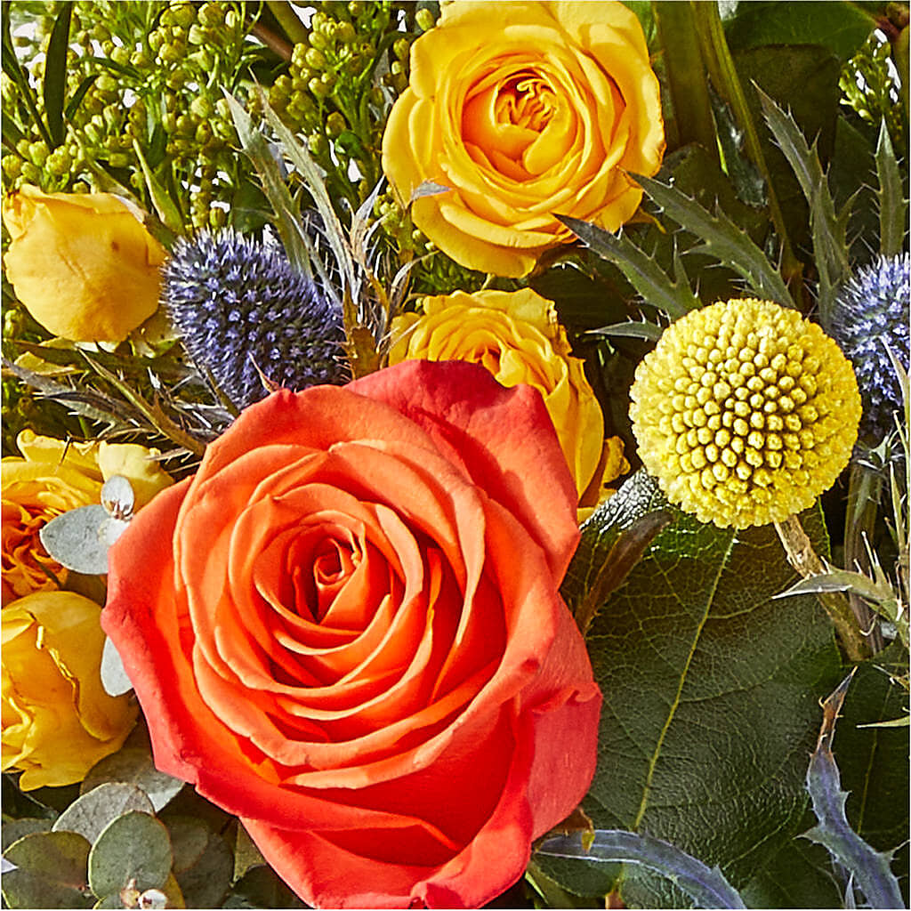 Disco Bouquet –  Wilderness Treasures, Pickford MI