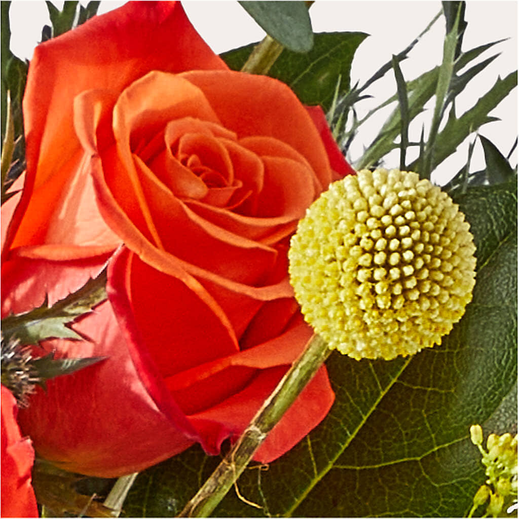 Disco Bouquet –  Wilderness Treasures, Pickford MI