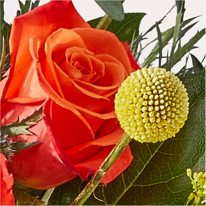 Disco Bouquet –  Wilderness Treasures, Pickford MI