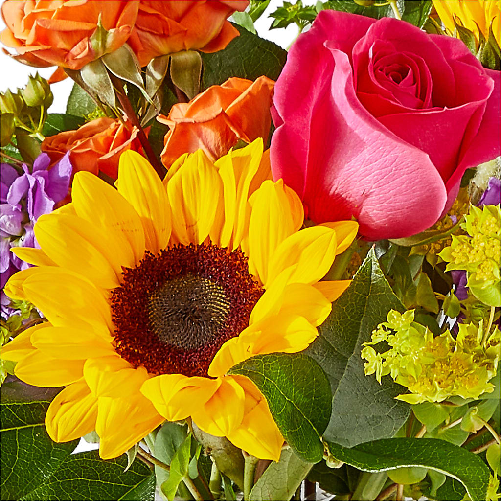 Vibrant Greetings Bouquet –  Wilderness Treasures, Pickford MI