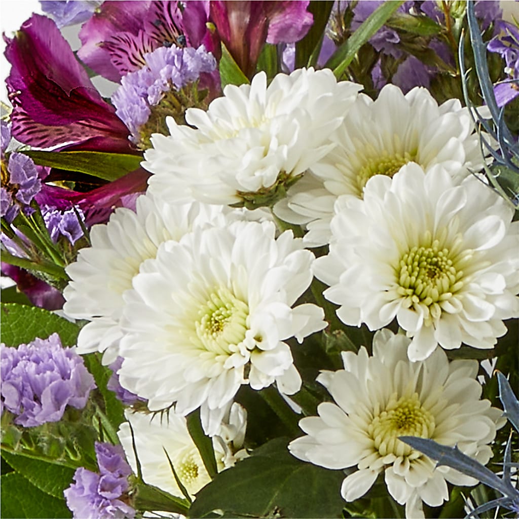 Shooting Star Bouquet –  Wilderness Treasures, Pickford MI