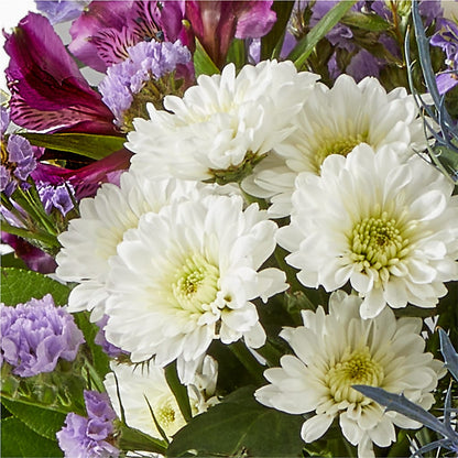 Shooting Star Bouquet –  Wilderness Treasures, Pickford MI