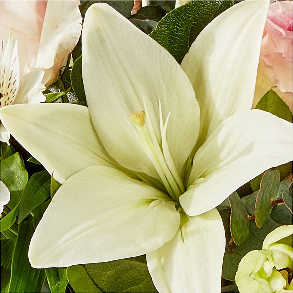 Ballet Slippers Bouquet –  Wilderness Treasures, Pickford MI