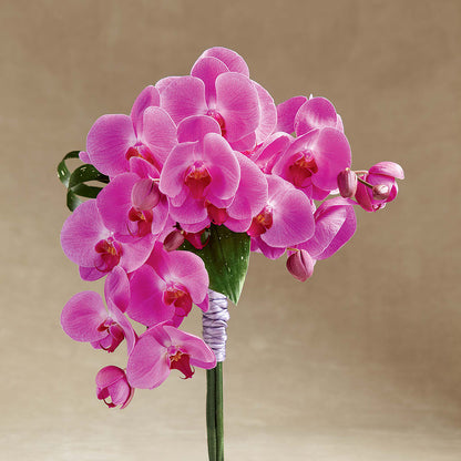Glorious Bouquet –  Wilderness Treasures, Pickford MI