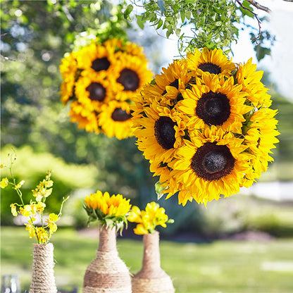 Sublime Garden Hanging Arrangement –  Wilderness Treasures, Pickford MI