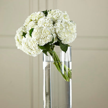 White Hydrangea Hand-Tied Bouquet –  Wilderness Treasures, Pickford MI
